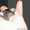 Крысята домашнии - Изображение #2, Объявление #286440