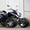 Квадроцикл Yamaha ATV 250 sport #393388