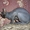 Кот Донского Сфинкса - Изображение #1, Объявление #583011