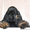 Стрижка собак и кошек, профессиональная косметика - Изображение #2, Объявление #679269
