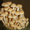 мицелий (грибница) вешенки, шампиньона, шиитаке - Изображение #4, Объявление #375194