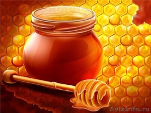 Натуральный мёд  от производителя опт и розница - Изображение #1, Объявление #969444