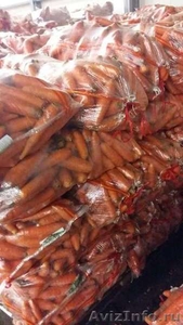 Оптовые поставки мытой моркови. Низкие цены! - Изображение #2, Объявление #1524711