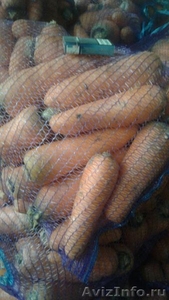 Оптовые поставки свежей, крупной, мытой моркови. Низкие цены! - Изображение #2, Объявление #1525859